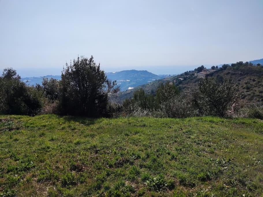 Detached House With Garden And Sea View Guest House Sanremo Exterior photo