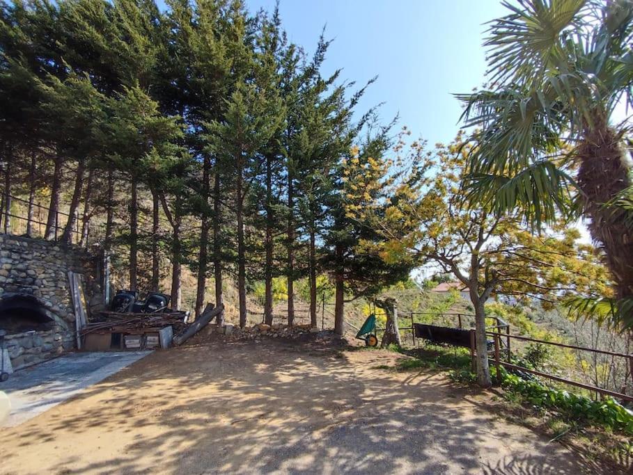 Detached House With Garden And Sea View Guest House Sanremo Exterior photo