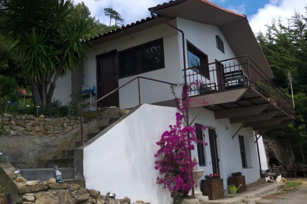 Detached House With Garden And Sea View Guest House Sanremo Exterior photo